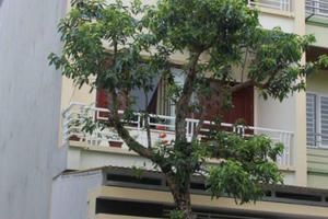 Nghệ An: Bị bắt quả tang trên chiếu bạc, ba Đảng viên bị đình chỉ sinh hoạt đảng