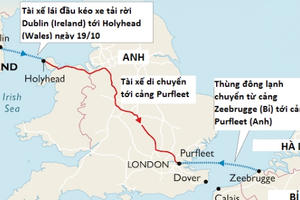 Vụ 39 thi thể trong container: Nghệ An lập đường dây nóng tiếp nhận thông tin trợ giúp người dân