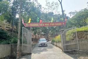 Hiệu phó nghiện ma túy nộp đơn xin nghỉ để đi cai nghiện