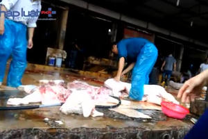 Kinh hoàng lò mổ lợn gây ô nhiễm môi trường