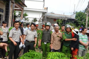 Thi hành án dân sự Bình Thuận vượt chỉ tiêu nhiều năm liên tục