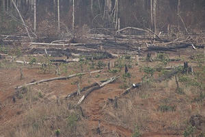 Kỷ luật 1 Phó Giám đốc Sở Công thương
