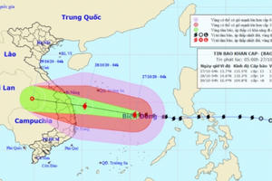 Bão số 9: Sức gió mạnh nhất vùng gần tâm bão mạnh cấp 13-14 giật cấp 17