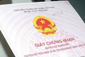 Cấp Sổ đỏ cho đất không có giấy tờ, tiền sử dụng đất phải đóng thế nào?