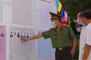 Hơn 97% cử tri đi bỏ phiếu sớm tại huyện đảo Bạch Long Vĩ