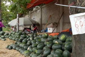 Dưa hấu “siêu rẻ” giá 6.000 đồng/kg đổ đống khắp vỉa hè Hà Nội