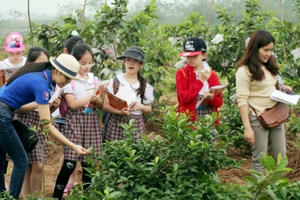 Trẻ em Thủ đô tập làm nông dân