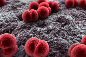 Em bé TP HCM đầu tiên tử vong vì viêm não mô cầu