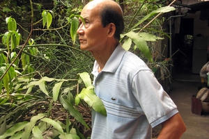 Gió mùa về nhớ bánh trôi tàu bác Bằng “hói”