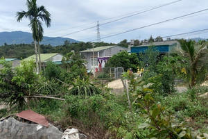 Đối tượng cứa cổ vợ rồi trốn vào rẫy cà phê khai gì tại cơ quan công an?