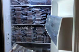 Chuyện Đông trùng hạ thảo biết "nhảy"...ra khỏi tủ đá