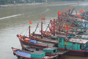 Làm gì để chống lại “giặc thủy”? Làm gì để chống lại “giặc thủy”?