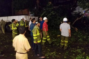 Hà Nội: Cành cây cổ thụ gãy rơi xuống đường làm 3 người bị thương sau cơn mưa lớn