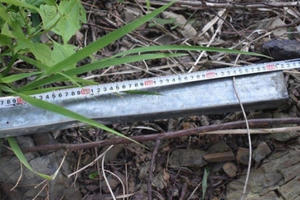 Đắk Lắk: Mất mạng do can ngăn cãi nhau