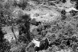 Cuộc chiến giữa các đại ca tranh giành lãnh địa “vàng tặc"