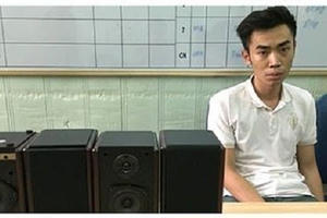 Bắt đối tượng vận chuyển gần 0,5kg ma túy qua sân bay Cát Bi