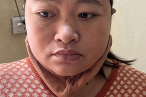 Thanh Hóa: Bắt “nữ quái” chuyên lừa đảo các cơ sở sản xuất nem, giò, chả