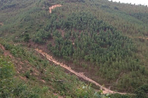 Nhịp cầu bạn đọc: Tìm giải pháp cho mâu thuẫn đất đai giữa Công ty lâm nghiệp và người dân