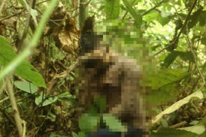 Hòa Bình: Nam thanh niên chết bí ẩn trong bụi rậm