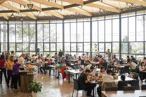 Lâm Đồng: Bội thu du lịch Tết 2026: Đón 910.000 lượt khách, doanh 1.800 tỉ đồng