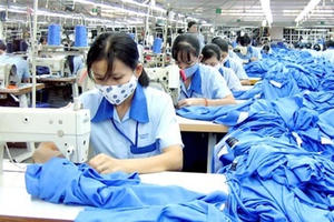 Mới có 3.500 lao động tại nước ngoài tham gia bảo hiểm xã hội