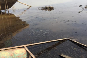 Dòng nước đen, hôi thối và sự "bình an" của lò mổ ở Vạn Phúc, Thanh Trì