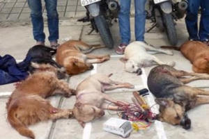 Vì sao 3 chiến sĩ Công an phải điều trị chống phơi nhiễm HIV khi khống chế nhóm "cẩu tặc"?