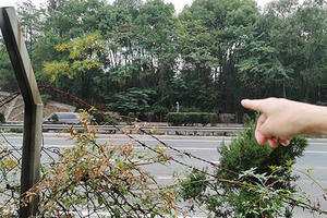 Sau một đêm có 35 tỷ, ông lão 83 tuổi gặp họa lớn