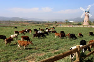 Vinamilk 3 năm liên tiếp đứng đầu bảng xếp hạng top 10 doanh nghiệp niêm yết uy tín 2017