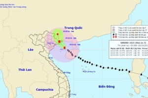 Tin bão số 7 Sarika mới nhất: Bão tấn công trực diện Quảng Ninh, Hải Phòng