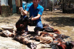 Khí amoniac độc như thế nào?