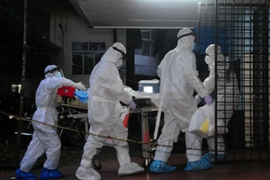 TP.HCM thông báo khẩn trước nguy cơ virus Nipah xâm nhập