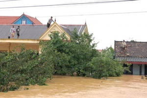 Miền Trung gồng mình chống lũ