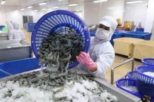 Xuất khẩu thủy sản có thể đạt 8,4 tỷ USD Xuất khẩu thủy sản có thể đạt 8,4 tỷ USD