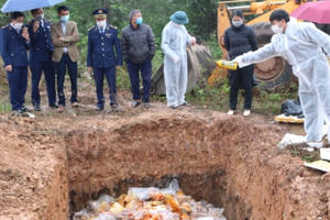 Tiêu hủy hơn 2 tấn thịt động vật không rõ nguồn gốc xuất xứ