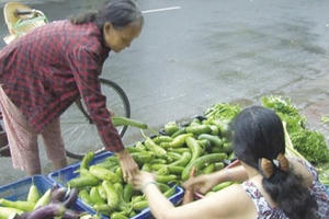 Quầy rau củ miễn phí ở Sa Đéc: Sự sẻ chia ý nghĩa với người nghèo