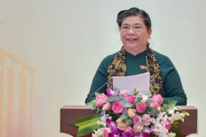 Tự chủ đại học: Nhiều hiệu trưởng vẫn muốn mình là to nhất