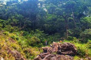 Ảnh dự thi “Việt Nam trong tôi“: Một thoáng Bạch Mã Ảnh dự thi “Việt Nam trong tôi“: Một thoáng Bạch Mã