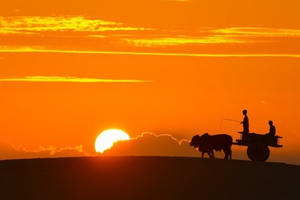 Ngắm khoảnh khắc Việt Nam trong vẻ đẹp thế giới năm 2020