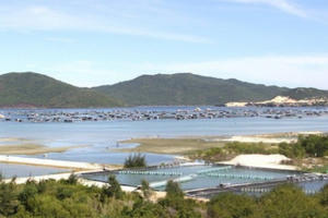 Thủ tướng yêu cầu rà soát kỹ các cơ chế của các đặc khu