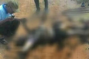 Phú Thọ: Đi câu cá bị điện giật tử vong