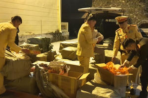 Hà Giang: Bắt giữ đối tượng vận chuyển gần 1 tấn pháo nổ Hà Giang: Bắt giữ đối tượng vận chuyển gần 1 tấn pháo nổ