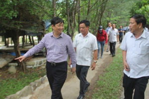 Đà Nẵng: Chấn chỉnh hoạt động du lịch trái phép tại quận Liên Chiểu