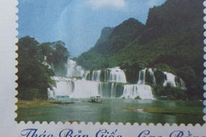 Vụ "lấy ảnh lung tung trên mạng" in phong bì: Bưu điện Cao Bằng phải bồi thường 100 triệu đồng