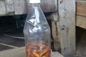 Công bố nguyên nhân 2 cậu cháu tử vong sau khi uống rượu ngâm rễ cây rừng