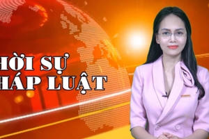 Bản tin Thời sự Pháp luật ngày 12/11/2021: Hai mốc thời gian cần biết để được nhận tiền hỗ trợ từ Quỹ bảo hiểm thất nghiệp