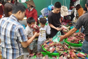 Ngày cuối kỳ nghỉ, du khách đổ xô về chợ Hạ Long mua hải sản
