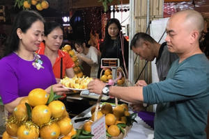 Khai mạc tuần lễ Cam Vinh và đặc sản tỉnh Nghệ An tại Hà Nội