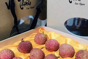 Vải thiều của Bắc Giang được bảo hộ nhãn hiệu tại 8 Quốc gia