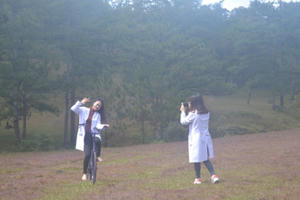 Lâm Đồng: Thời tiết bất lợi, mùa cỏ hồng vẫn hút khách